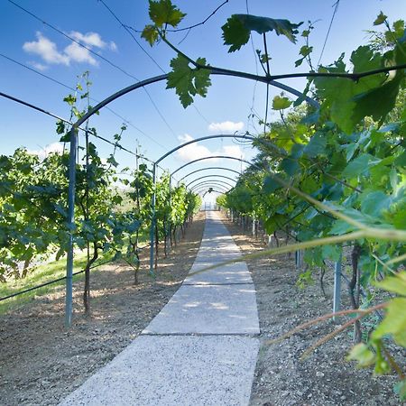 Agriturismo Il Vecchio Mandorlo Perugia Eksteriør billede
