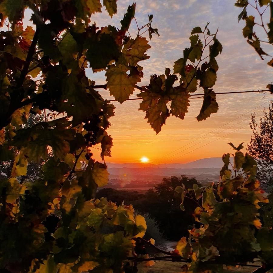 Agriturismo Il Vecchio Mandorlo Perugia Eksteriør billede