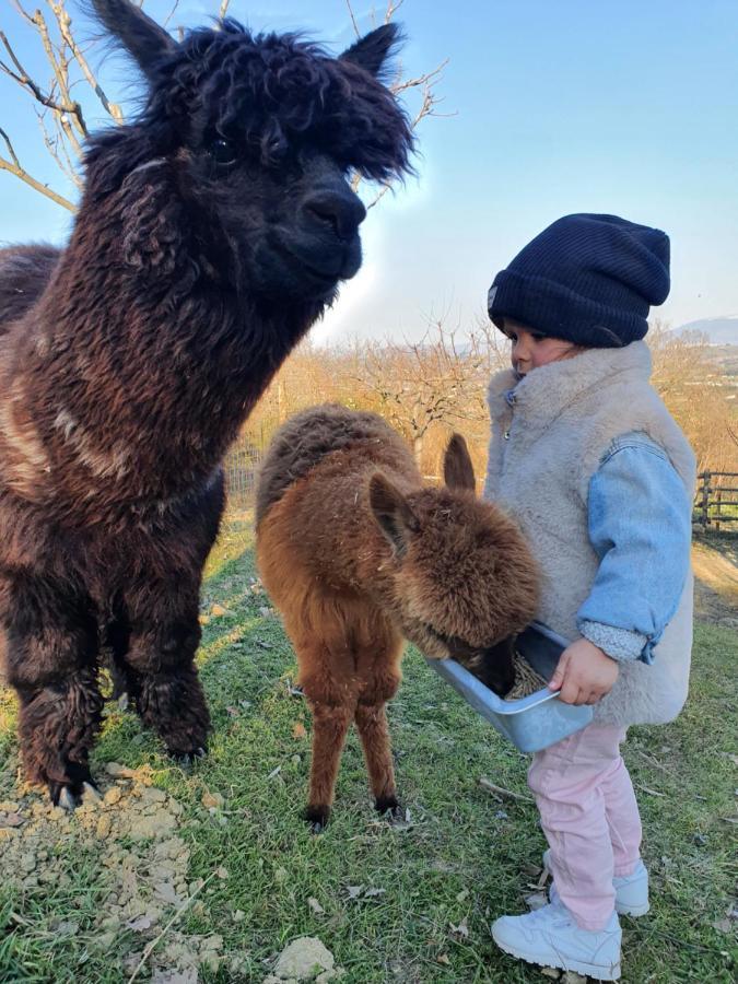 Agriturismo Il Vecchio Mandorlo Perugia Eksteriør billede