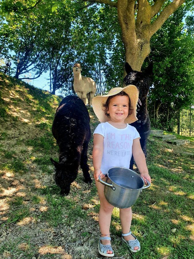 Agriturismo Il Vecchio Mandorlo Perugia Eksteriør billede