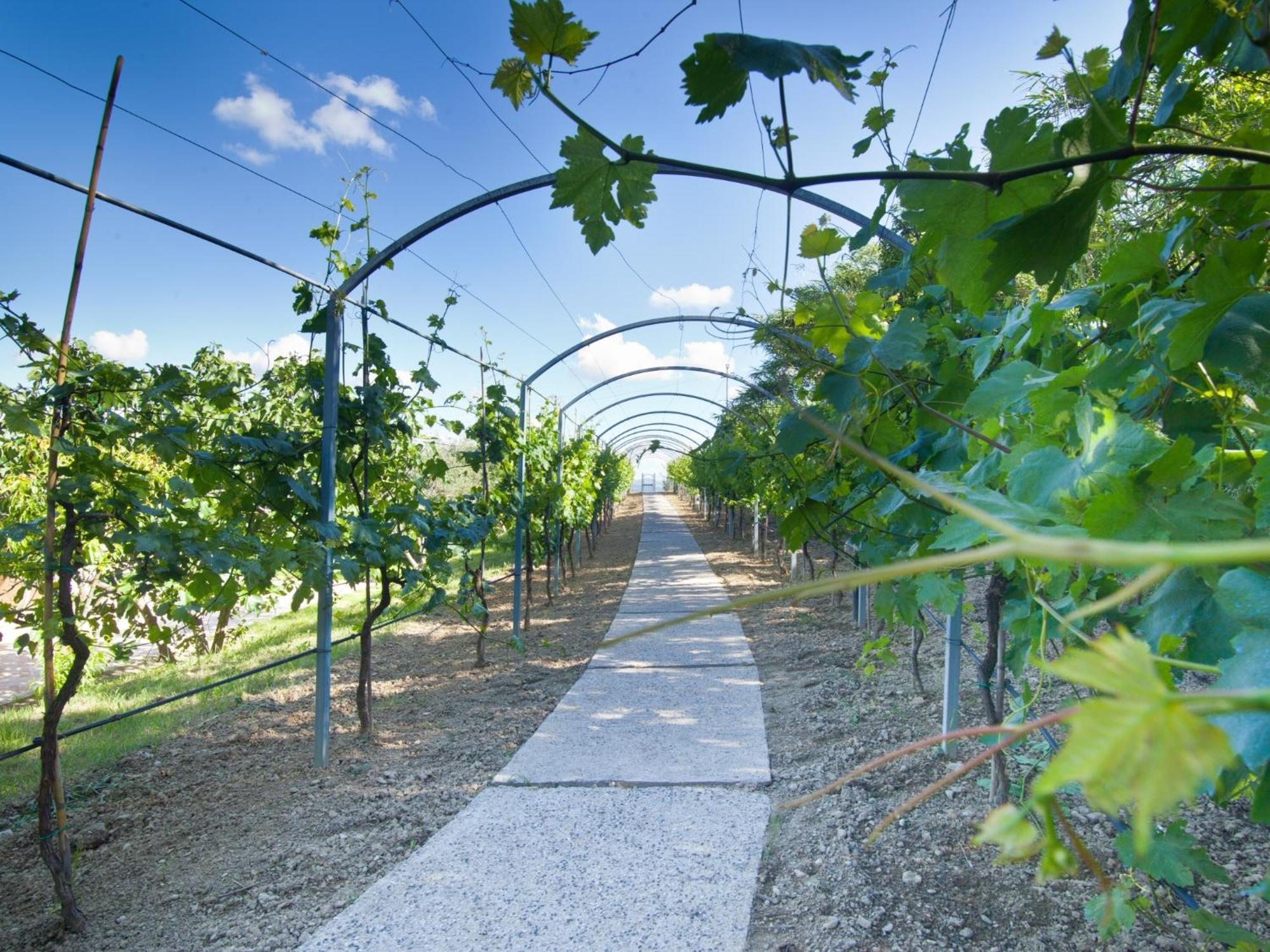 Agriturismo Il Vecchio Mandorlo Perugia Eksteriør billede